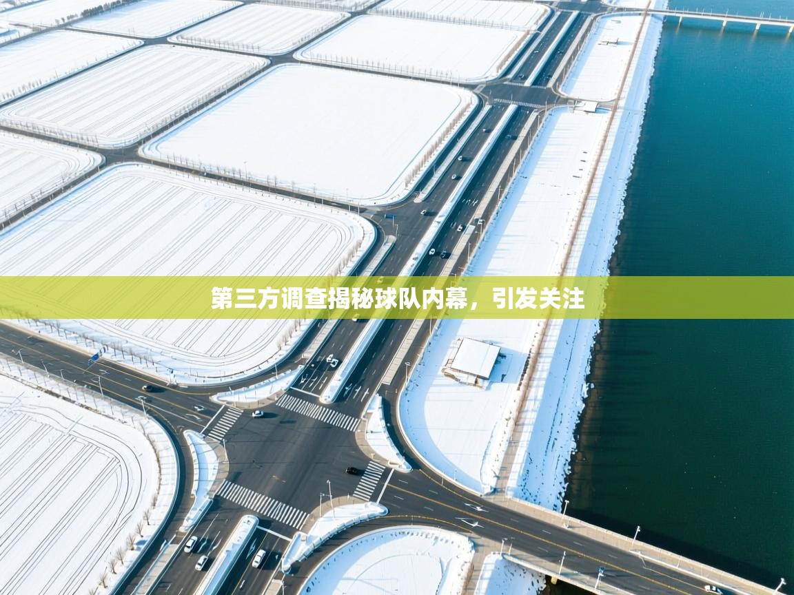 第三方调查揭秘球队内幕,引发关注 第1张